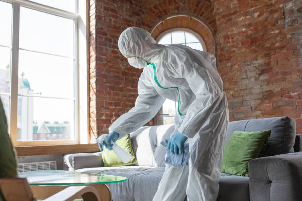 Why You Should Choose Our Mold Remediation Services in Mill Creek, WA